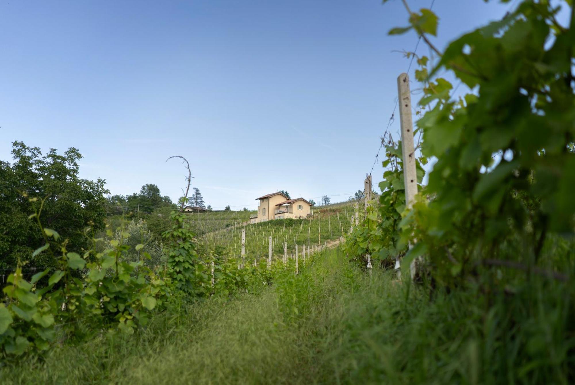 I Ciabot Di Monforte Monforte D'Alba Bagian luar foto