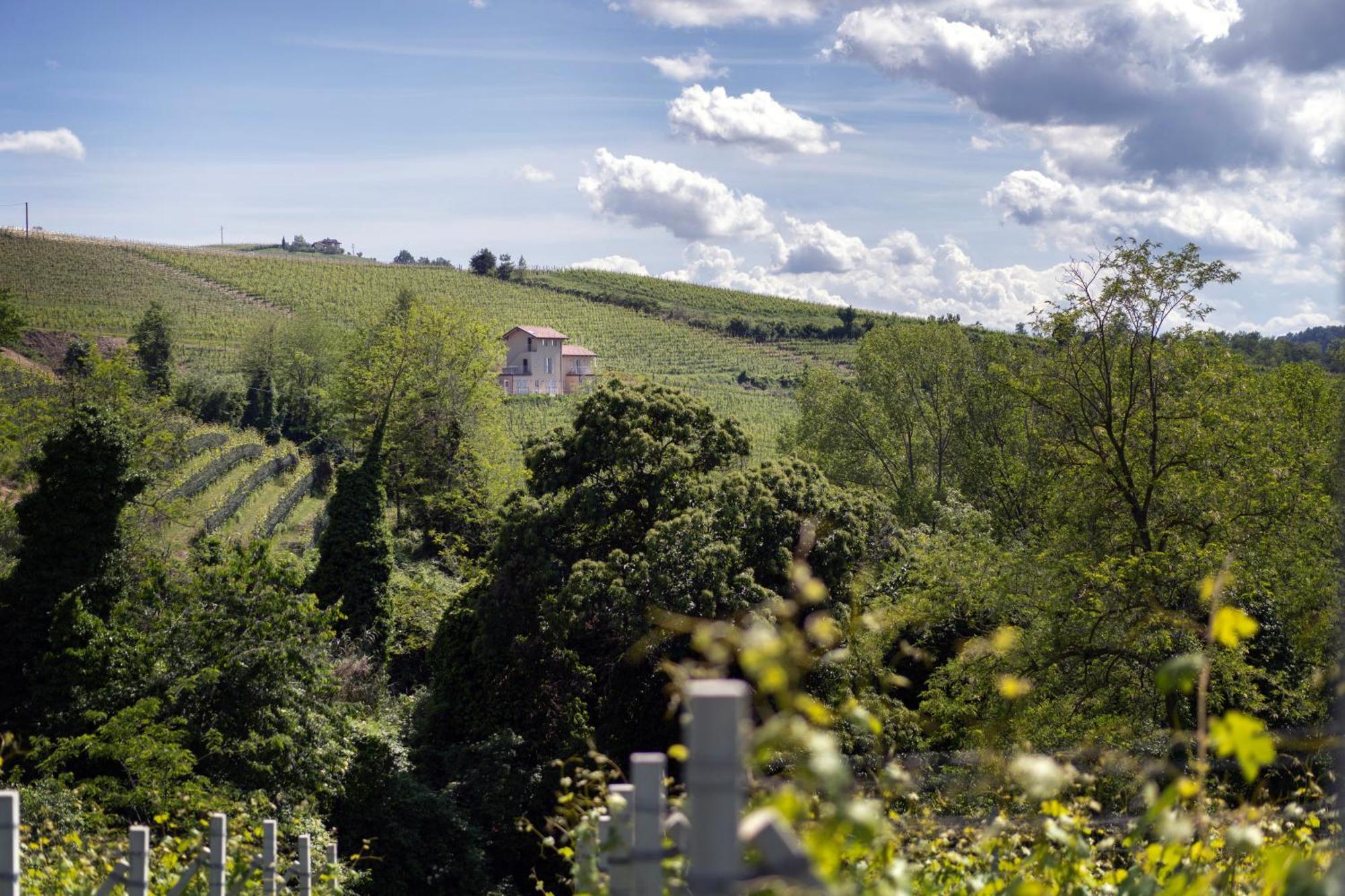 I Ciabot Di Monforte Monforte D'Alba Bagian luar foto